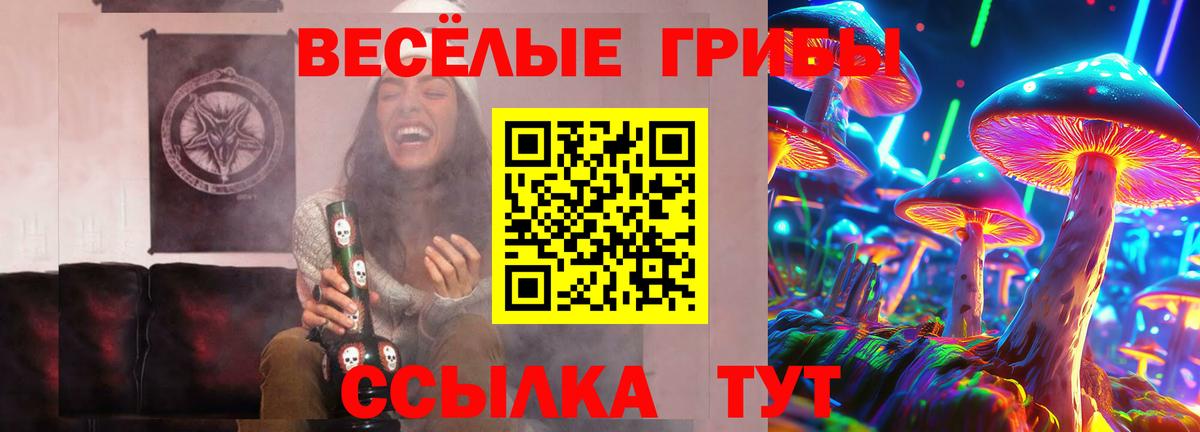 купить наркотики сайты  Вход с VPN  Кинешма  Галлюциногенные грибы мицелий 